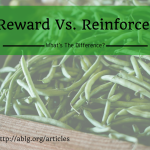 Are green beans reinforcers?